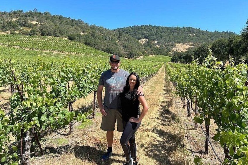 Sonoma Wine Country Electric Trike & Wine Tour - 3 hours 2