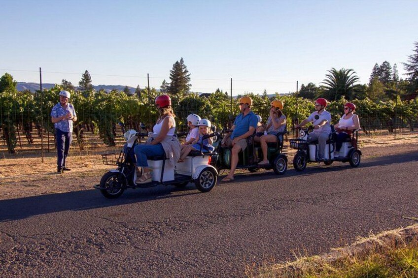 Sonoma Wine Country Electric Trike & Wine Tour - 3 hours 4