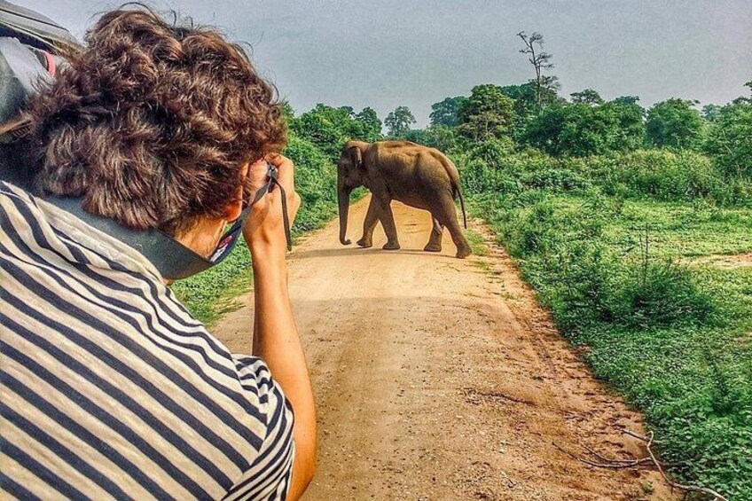 A person taking a photo of an elephant on a dirt road with greenery on both sides. 1