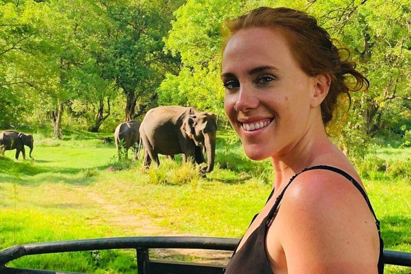 A person standing near a fence with elephants in the background. 2