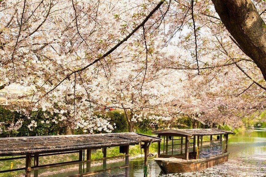 Hakone and Mt. Fuji Day Trip with Private Vehicle 2