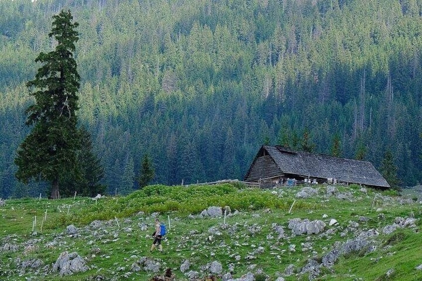 Sheepfold along the way 3