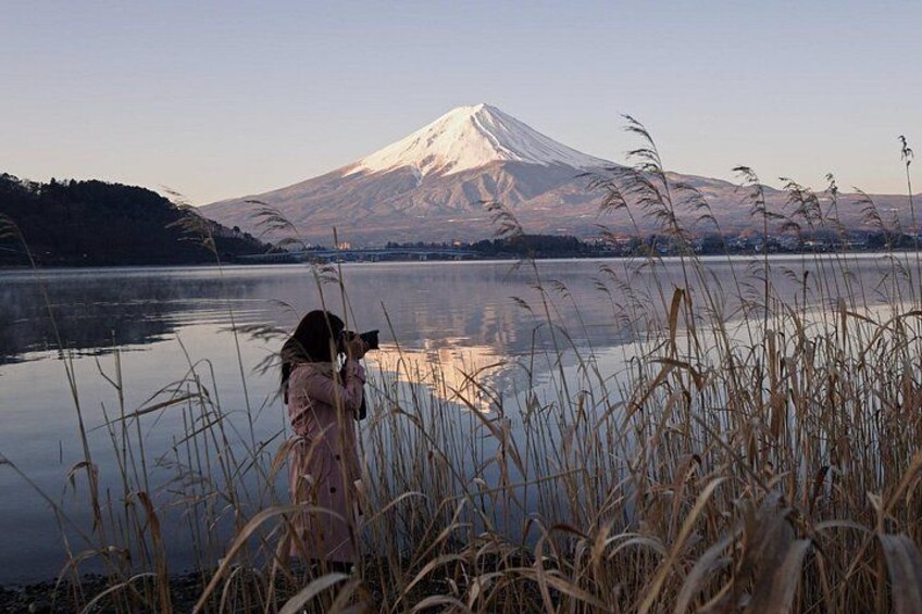 Una persona fotografiando una montaña nevada junto a un lago tranquilo, con hierbas altas en primer plano. 1