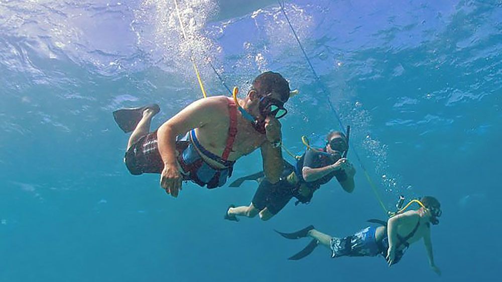Snorkeling Cruise to Molokini Crater & Turtle Town (Small Group)