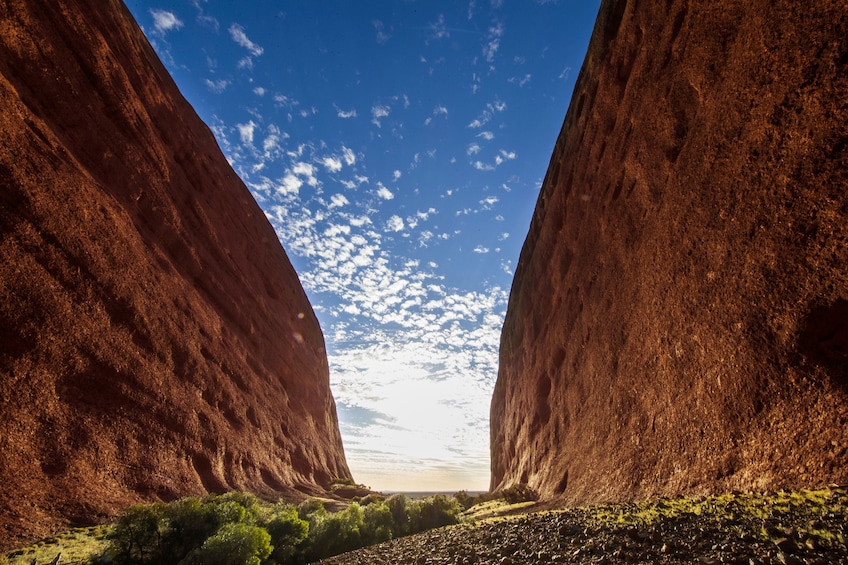 Half-Day Kata Tjuta Sunrise & Valley of the Winds Tour