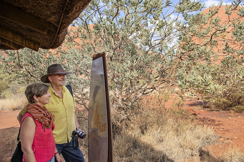 Half-Day Kata Tjuta Sunrise & Valley of the Winds Tour