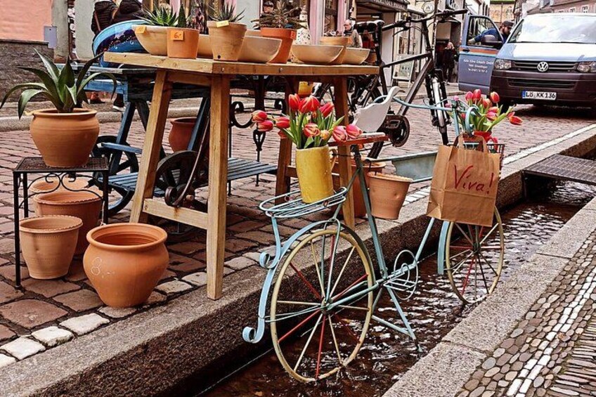 Private tour in Italian in Freiburg im Breisgau 3