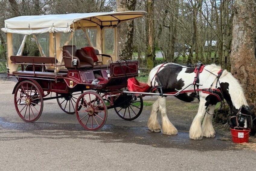 Een paard en wagen met overdekte zitplaats en rode tuigage, geparkeerd op een verharde weg met bomen op de achtergrond. 2