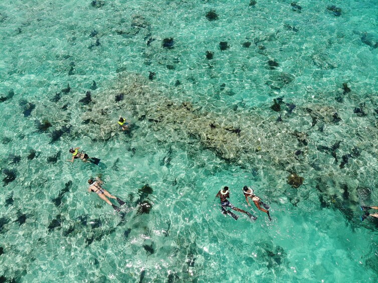 Key West Reef Snorkel & Sunset Cruise Combo With Draft Beer & Wine