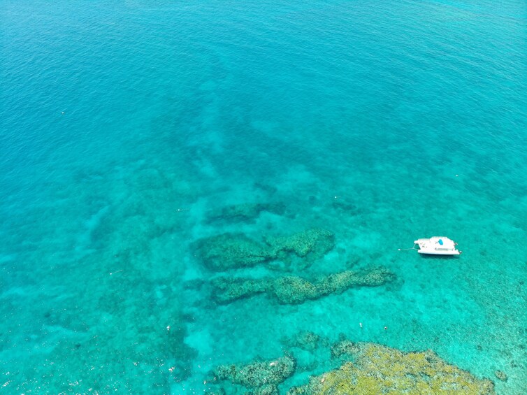 Key West Reef Snorkel & Sunset Cruise Combo With Draft Beer & Wine