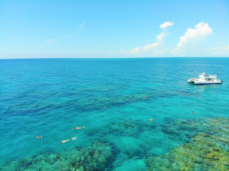 Key West Reef Snorkel & Sunset Cruise Combo With Draft Beer & Wine