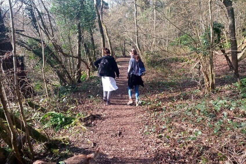 Private Guided Hike: King Arthur's Wye Valley Wander 3