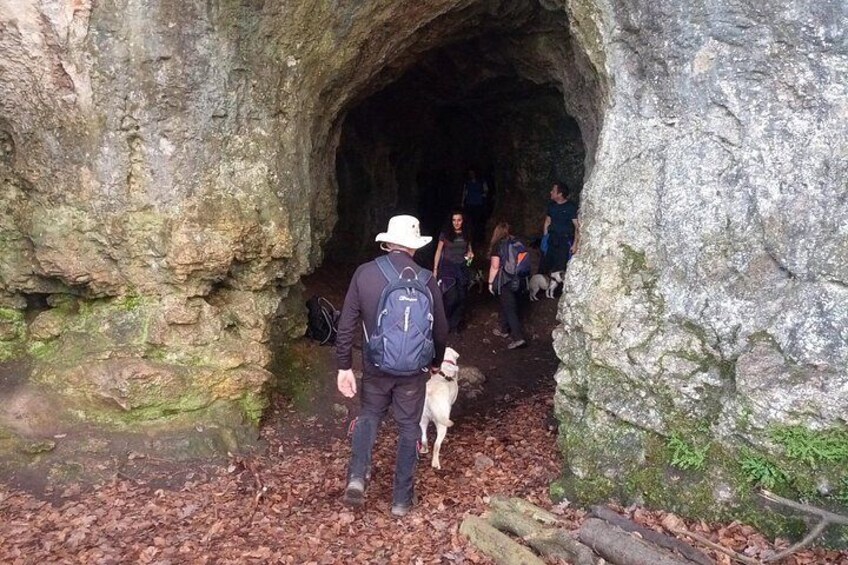 Private Guided Hike: King Arthur's Wye Valley Wander 5