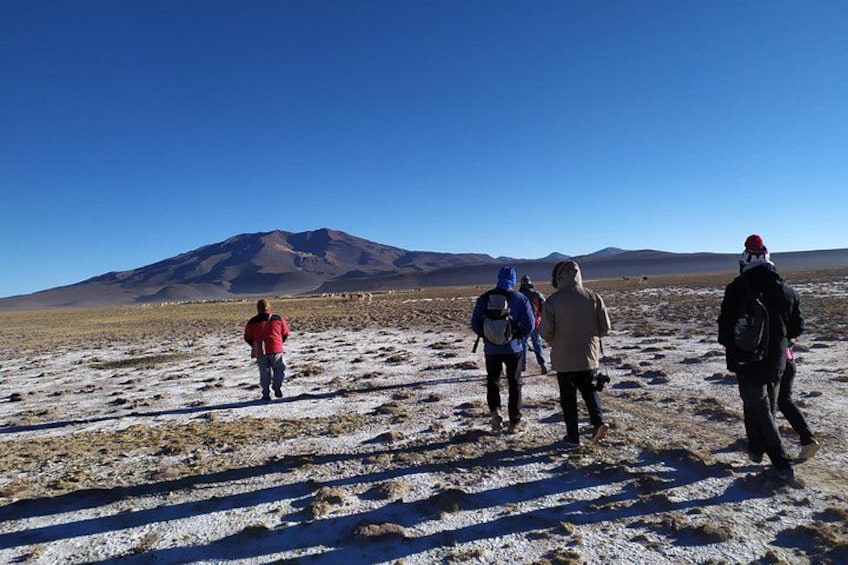 A group of people hiking on a barren landscape with a mountain in the background. 2