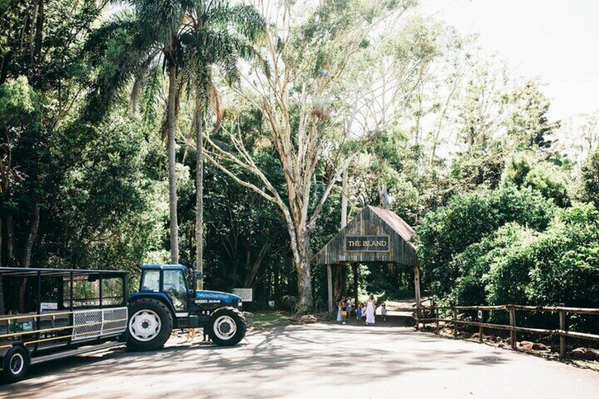 Tropical Fruit World Farm Full Tour 