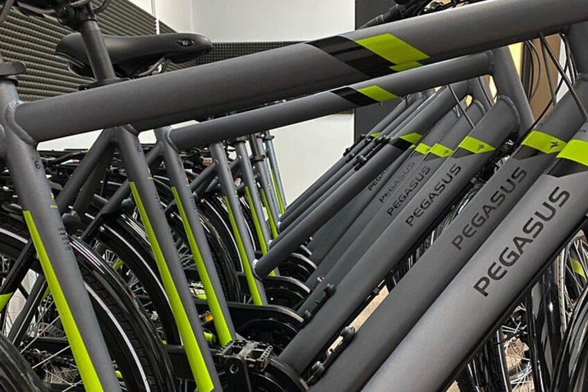 Una fila de bicicletas con la marca 'PEGASUS'. 2