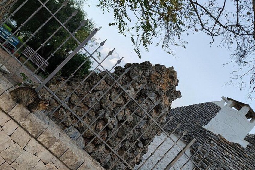 Una estructura de piedra con una cerca metálica al frente. 5