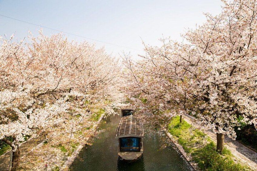 Private One Day Nikko Tour with Bilingual driver 4