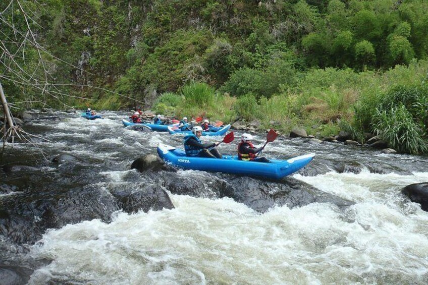 A group of kayakers navigating a fast-flowing river surrounded by lush greenery. 4