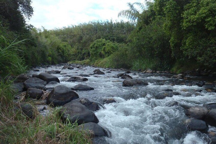 A river with fast-flowing water, surrounded by rocks and dense greenery. 5
