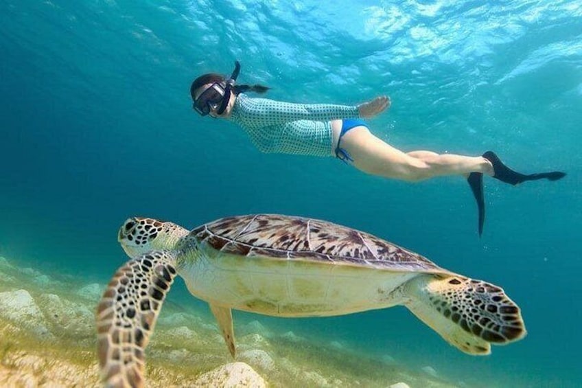 Snorkel with Turtles 4