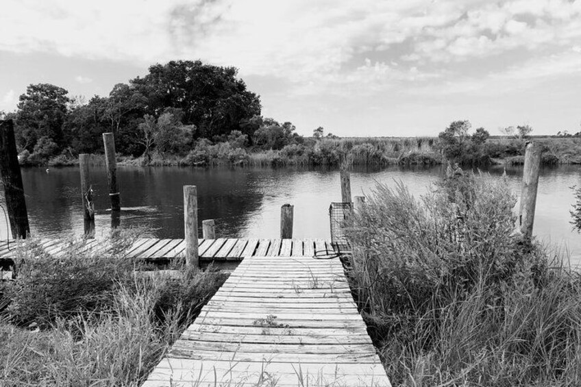 A wooden dock extending into a calm body of water, surrounded by tall grasses and trees. 1