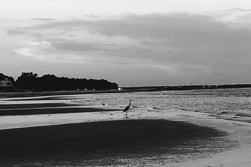 Bay Saint Louis, MS Gulf Coast 3