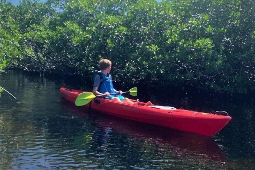 A person kayaking in a red kayak on calm water surrounded by dense mangrove trees. 3