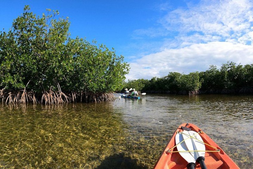 A river with a kayak and a boat in the distance, surrounded by mangrove trees. 2