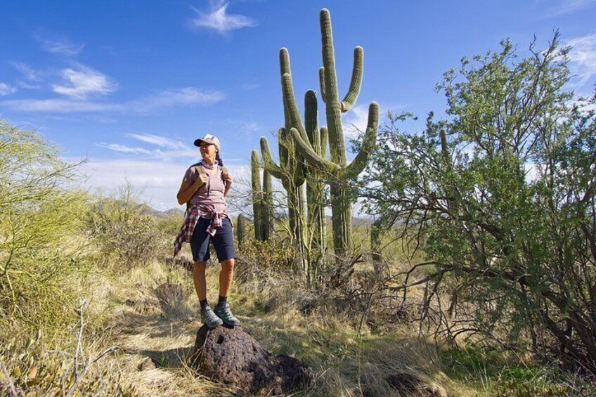 Incredible Hidden Valley Guided Hike in Phoenix, Arizona 5