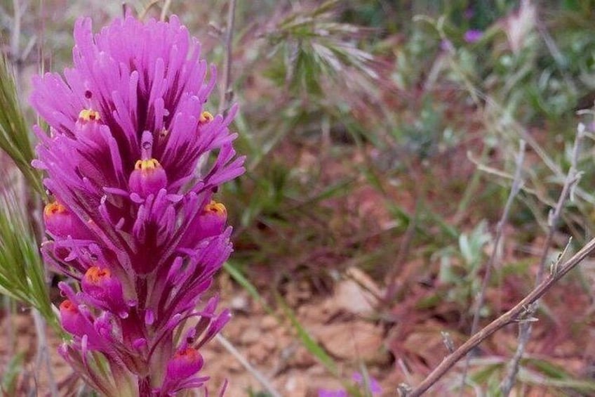 Incredible Hidden Valley Guided Hike in Phoenix, Arizona 3