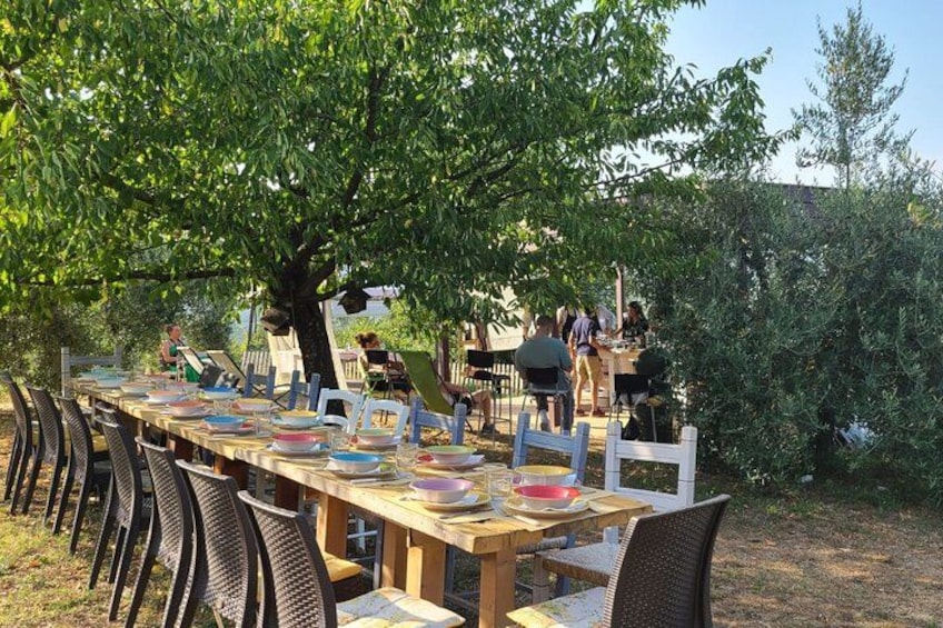 Un área de comedor al aire libre con una larga mesa de madera dispuesta para una comida, rodeada de sillas y un árbol que ofrece sombra. 5