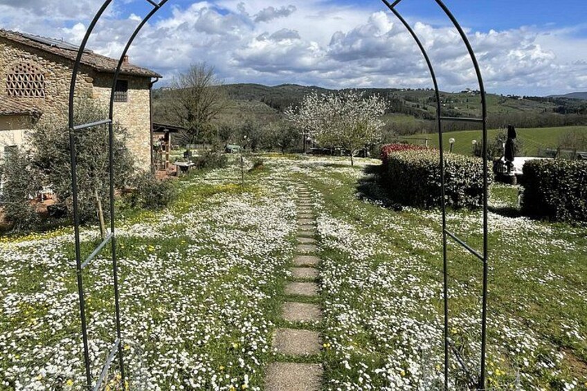 Cooking Class on a Family Farm in Chianti with Lunch 3