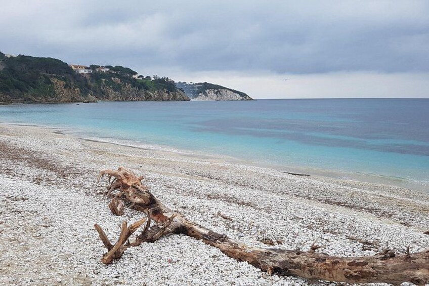 Portoferraio Walking Tour with Guide 2 Hours 4