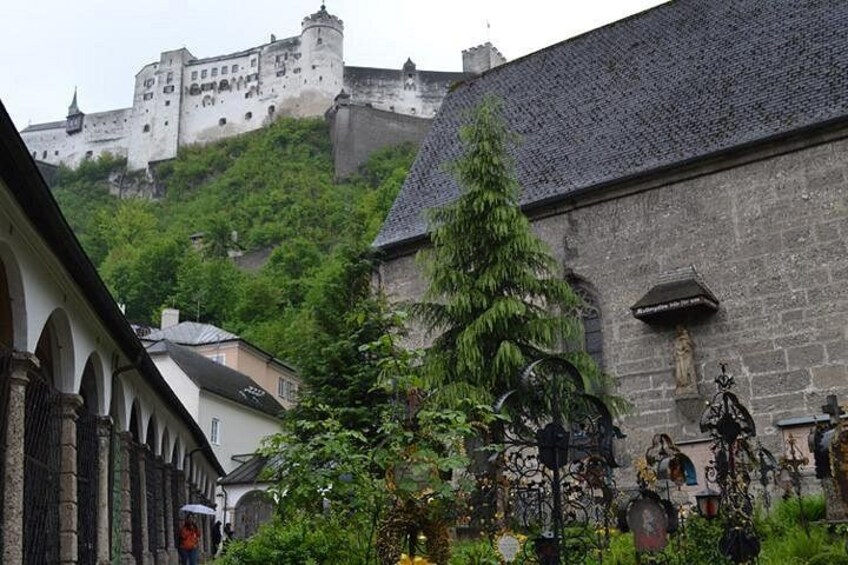 A historic building with a stone facade, a large tree in front, and a castle on a hill in the background. 2