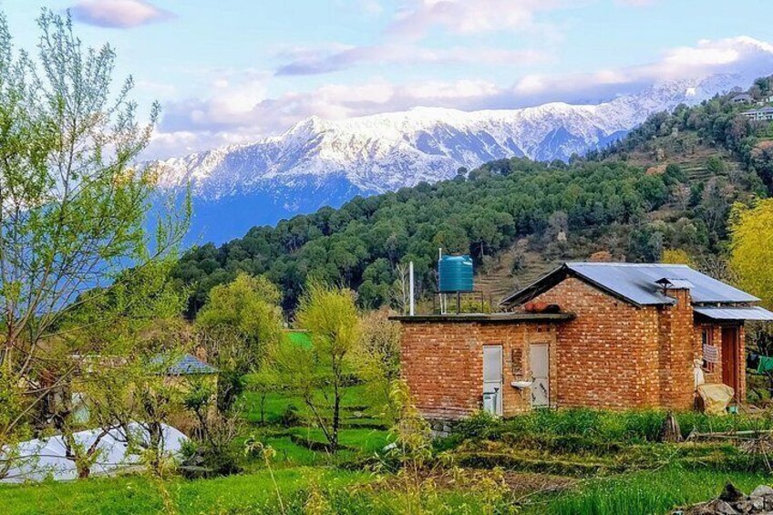A brick house with a solar panel, surrounded by green fields and trees, with snow-capped mountains in the background. 4