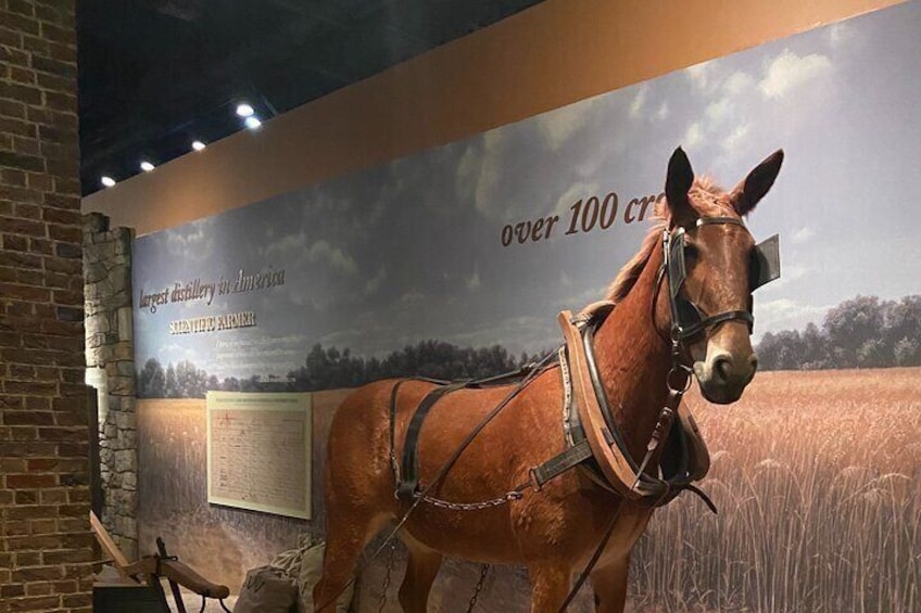 Full-Day Tour of Washington DC and Mount Vernon 5