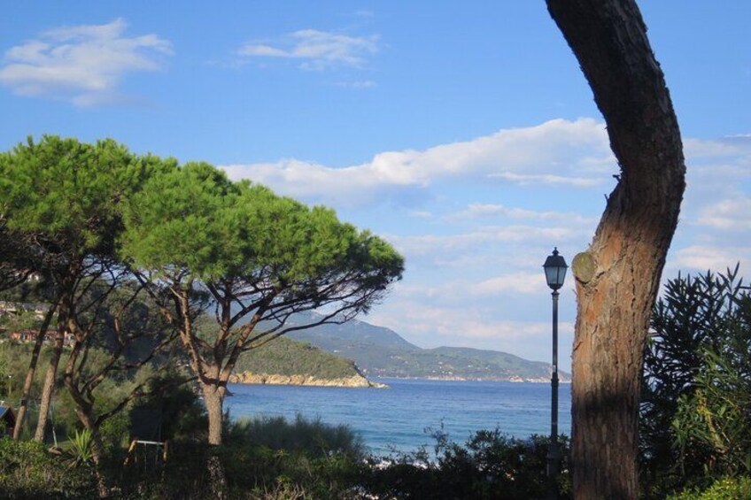 Guided Excursion Elba Island - Full Day 2