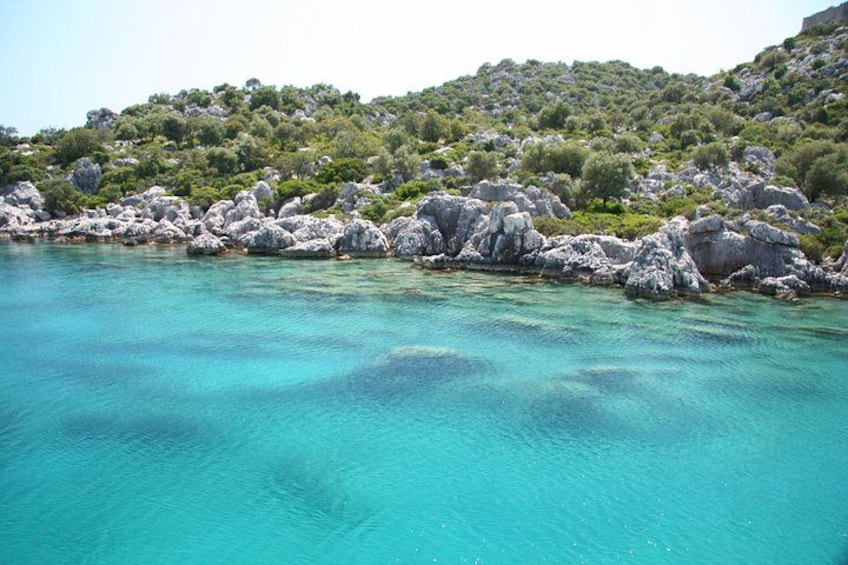 aquairum 2