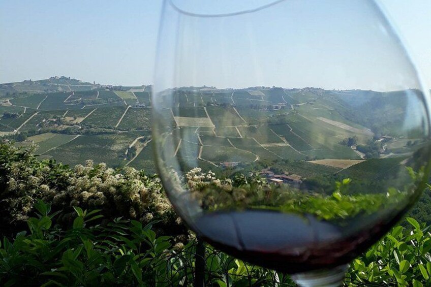 Hiking and wine tour starting from Alba 5