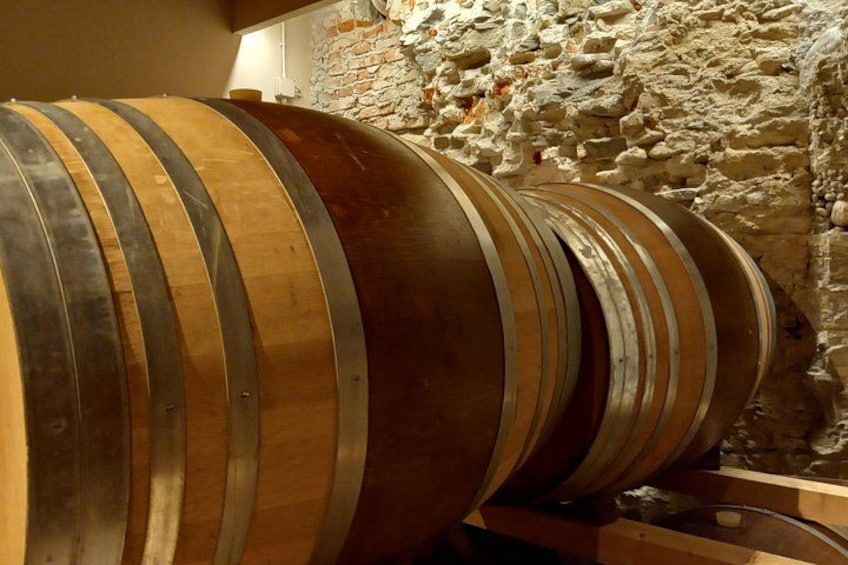 Hiking and wine tour starting from Alba 3