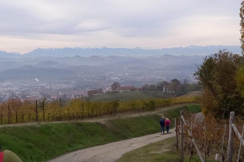 Hiking and wine tour starting from Alba 2