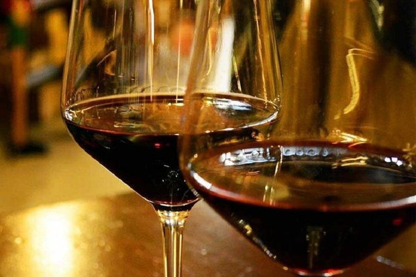 Hiking and wine tour starting from Alba 4