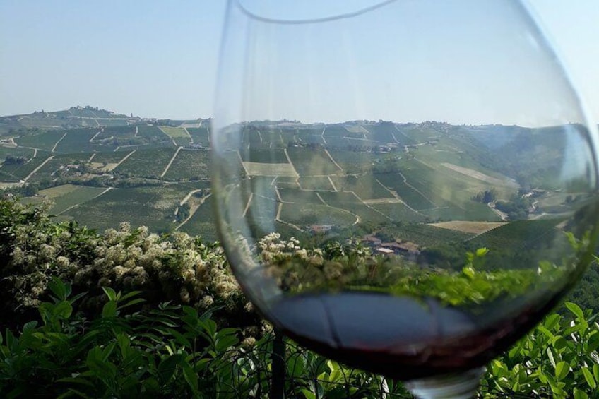 Un verre à vin avec un paysage de vignoble en arrière-plan. 2