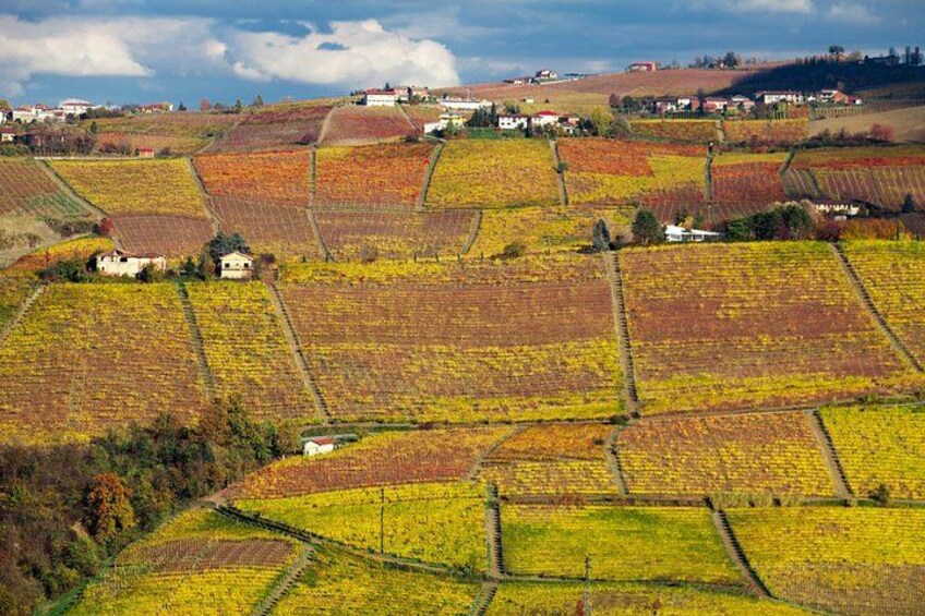 Des vignobles en terrasses, avec des maisons construites sur les flancs des collines. 3