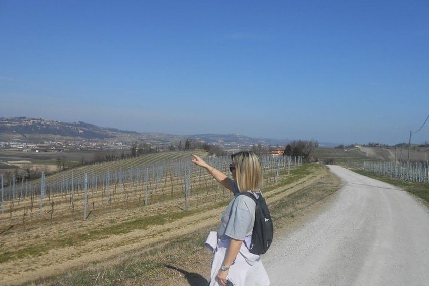 Hiking and wine tour starting from Alba 5
