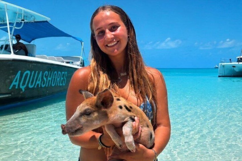 Exuma Powerboat Tour from Nassau with Swimming Pigs 1