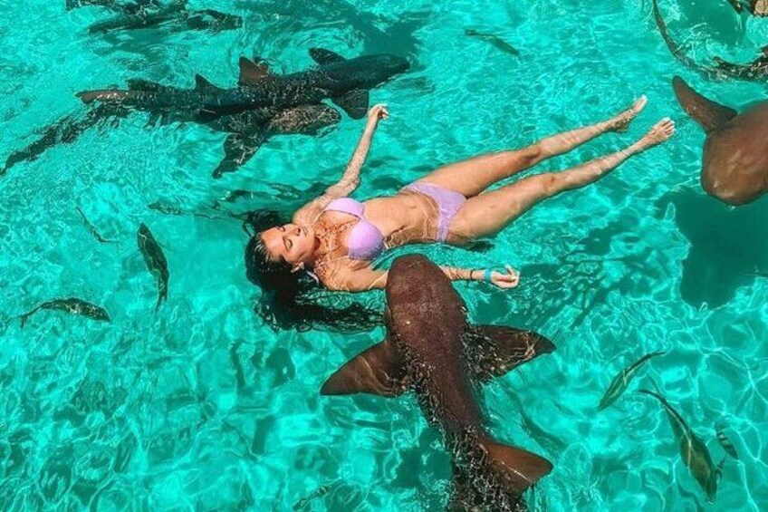 Eine Person schwebt in klarem, türkisblauem Wasser, umgeben von Haien. 2