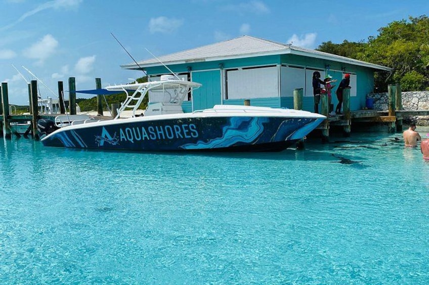 Exuma Powerboat Tour from Nassau with Swimming Pigs 5