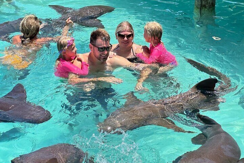 People swimming with sharks in a pool. 5